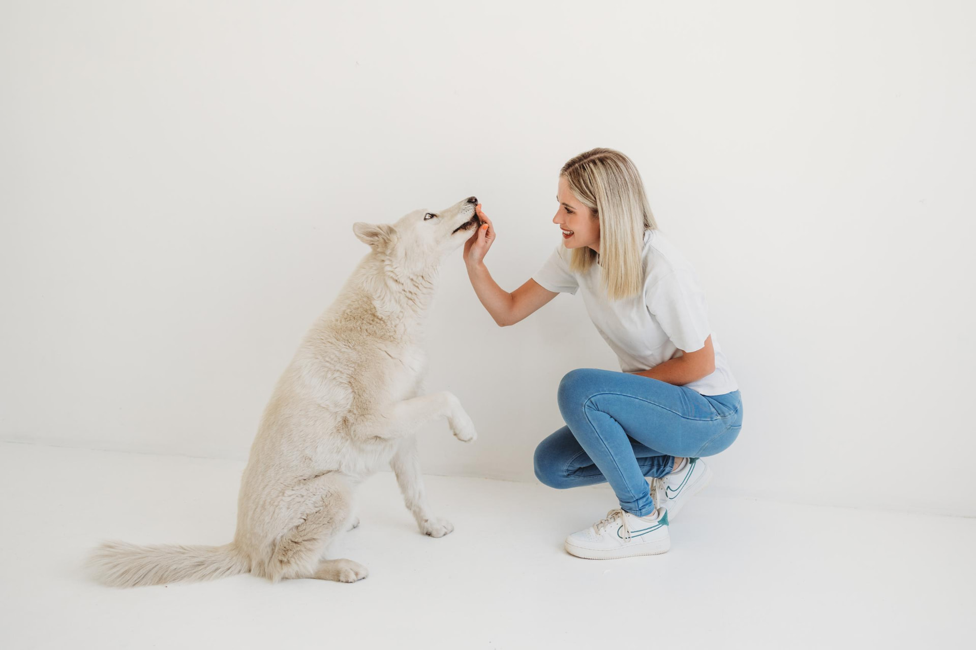 Handler giving a treat to a cream husky at Barker & Bone